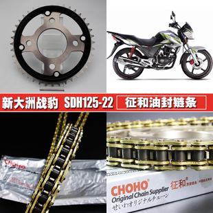 新大洲战豹SDH150 提速大小齿轮链轮套链 22征和油封链条链盘套装