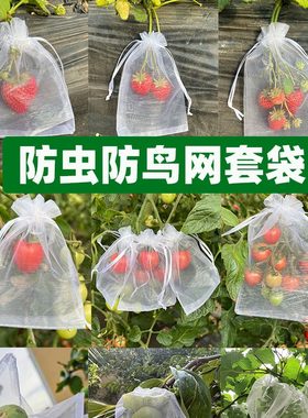 十品水果套袋蔬菜套袋透光透气