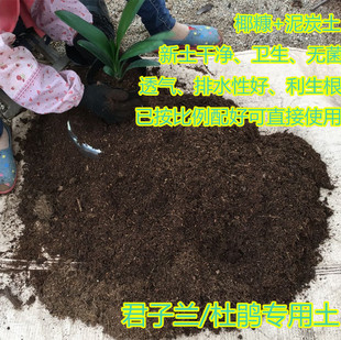 君子兰杜鹃瑞香专用椰糠泥炭土茶花专用土有机营养沙性黄土配置土