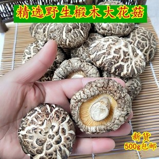 费花菇干货剪脚椴木花菇冬菇香菇肉厚蘑菇500g农家土特产 一斤 免邮