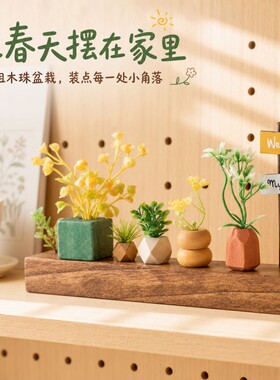 猫猫不卷实木洞洞板植物花盆摆件