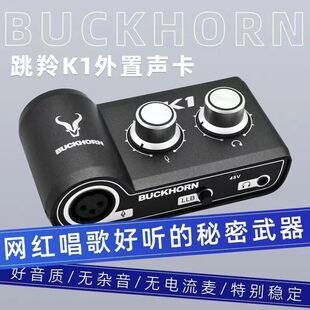 Buckhorn跳羚k1声卡USB外置声卡手机电脑网红主播录音直播K歌电台