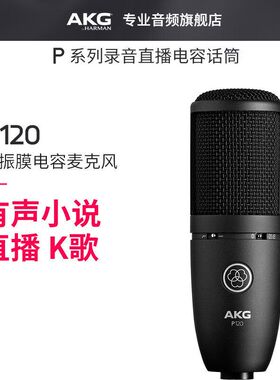 爱科技（AKG）P120电容麦克风有声书录音专业设备直播k歌电台标配