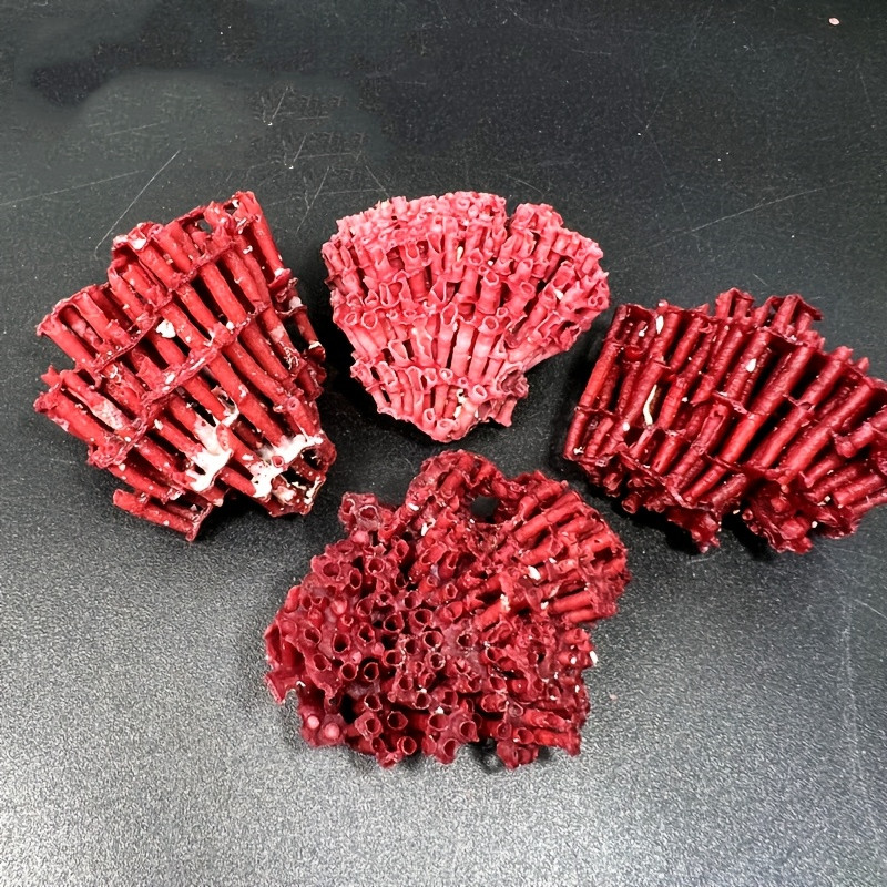 天然红珊枝瑚贝壳原石教学科普标本工艺品水族馆鱼缸造景装饰摆件