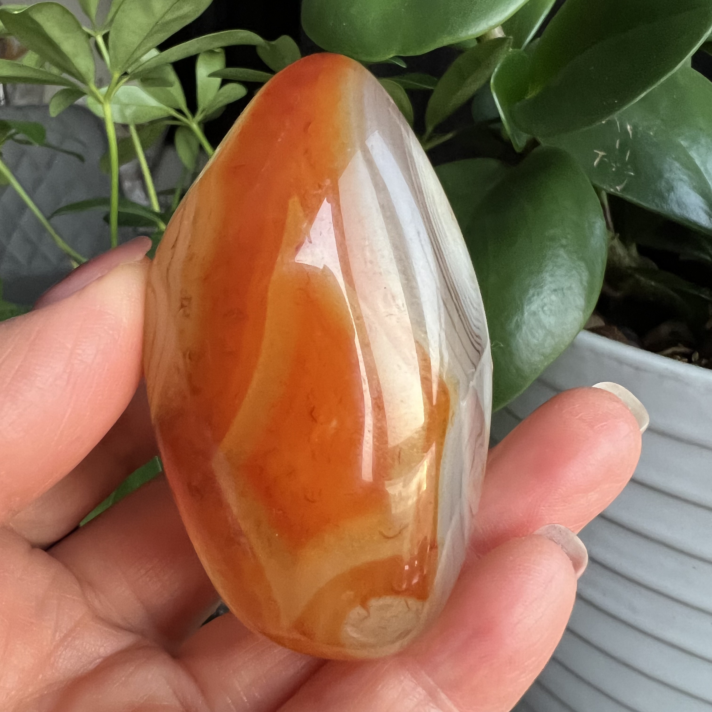 天然缠丝玛瑙原石毛料摆件蓝绿玛瑙把玩手把鱼缸造景一图一物334