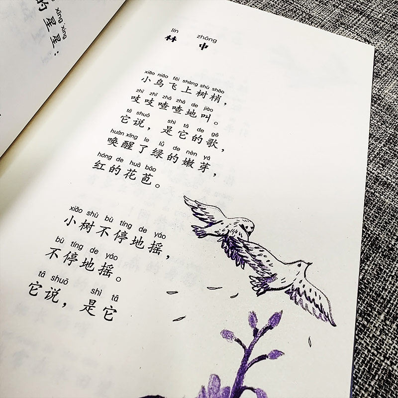 合作儿童文学(文)金波儿童诗选 鸟儿的来信 美绘拼音版