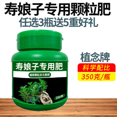 植念牌盆景盆栽寿娘子专用肥颗粒