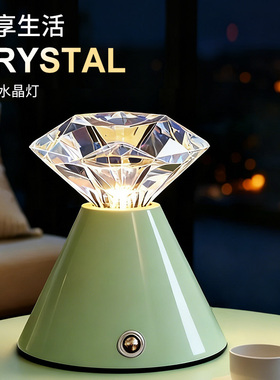 特别好看的床头灯轻奢高级感水晶灯卧室氛围灯led充电桌面小台灯