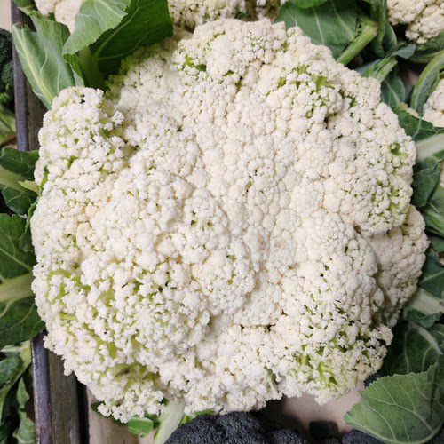 新鲜四川广安自种散白花菜