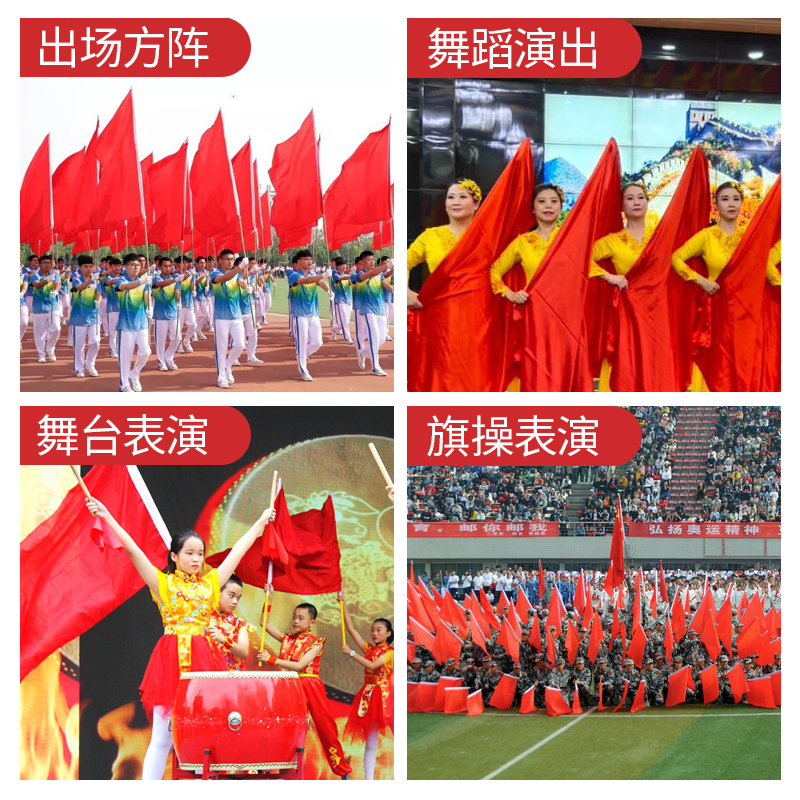 彩旗纳米纯色空白武术表演红旗