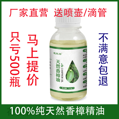 天然香樟木油消毒杀菌止痒纯香樟油驱蚊虫蟑螂木家具防蛀樟脑精油