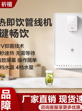 迷你无胆壁挂台面俩用祈禧管线机
