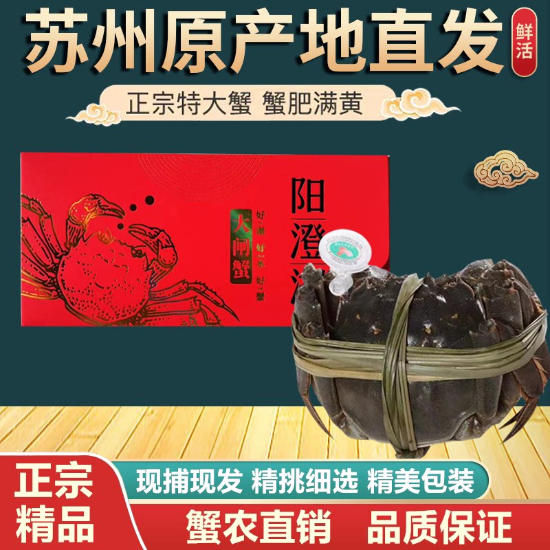 产地优选大闸蟹鲜活螃蟹礼盒装