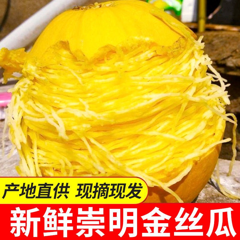 新鲜崇明岛金丝绞瓜金瓜黄金瓜绞瓜搅瓜丝瓜面条瓜天然粉丝凉拌