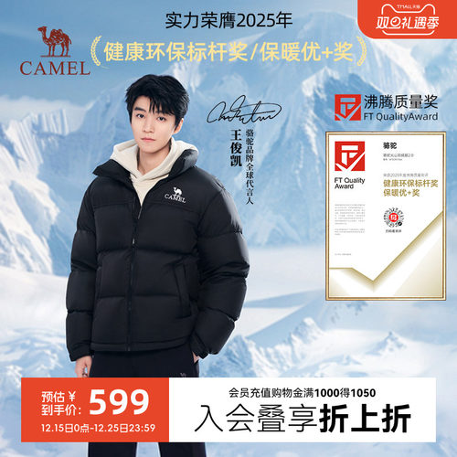 (王俊凯同款）骆驼速暖羽绒服
