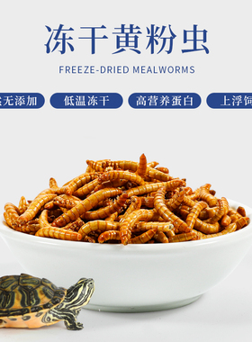 黄粉虫面包虫大麦虫冻干仓鼠乌龟发色补钙