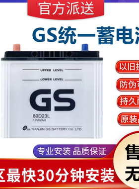 适配奇骏天籁楼兰东风风度MX6启辰T70欧蓝德原装电瓶GS统一80D23L