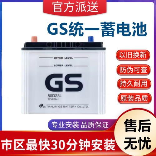 适配奇骏天籁楼兰东风风度MX6启辰T70欧蓝德原装电瓶GS统一80D23L