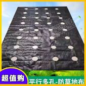 打孔防草布蔬菜打孔防草布中药材防草布打孔地膜打孔除草布开孔