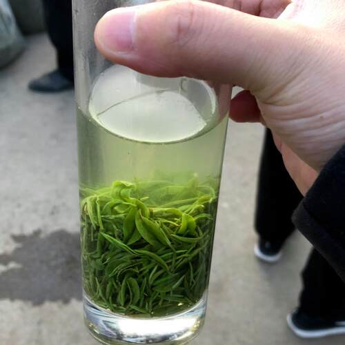 信阳毛尖新茶2026口粮茶一芽一叶大山头茶