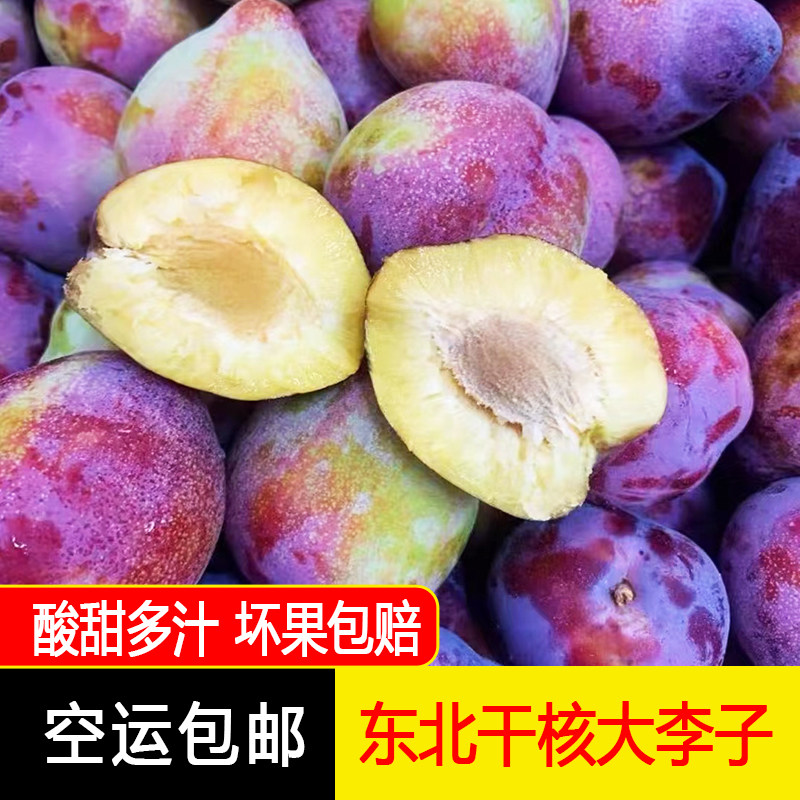 东北当地吉盛李子干碗离核酸甜李子孕妇水果2/3斤空运包邮