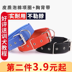 狗狗项圈小中大型犬可调节胸背带泰迪金毛幼犬狗圈颈圈脖圈防咬