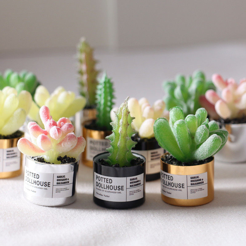 微缩多肉盆栽娃娃屋迷你绿植bjd观赏花卉dollhouse金属盆景道具,玩具/童车/益智/积木/模型,家居/生活场景,淘宝优惠券,粉丝福利购,淘宝优惠卷