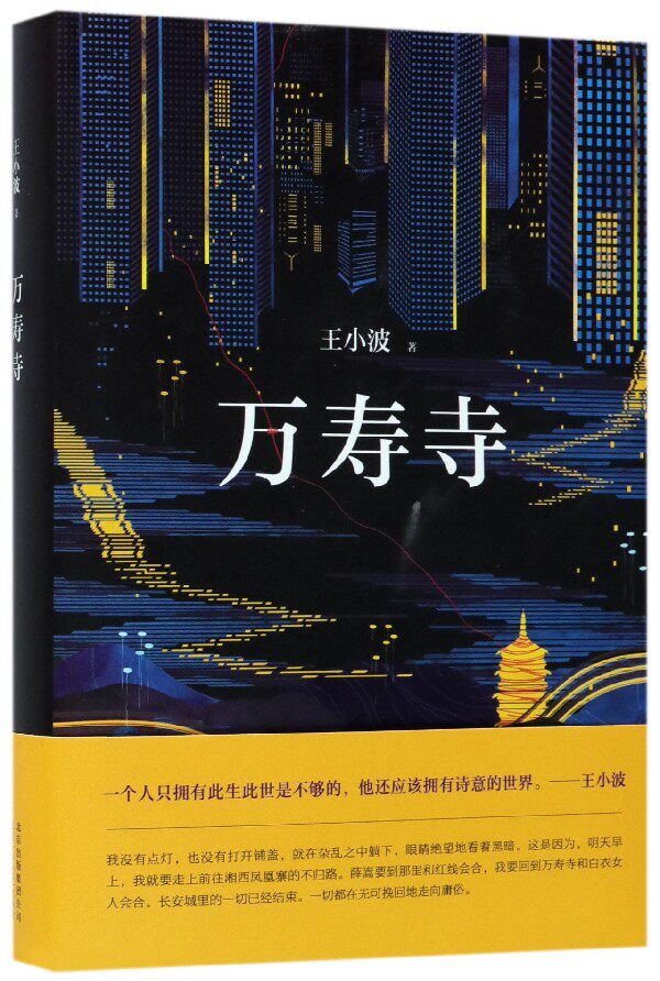 现货 万寿寺 王小波 著 中国现当代文学书籍 长篇小说代表作 一只特立