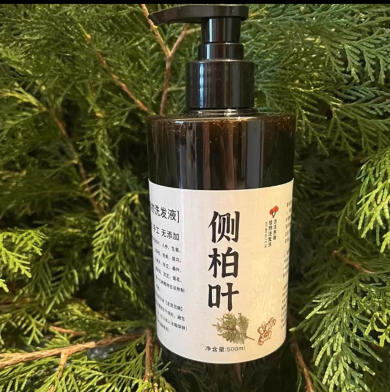 纯手工侧柏叶洗发水首乌植物养发无硅去屑止痒控油草本天然洗发水