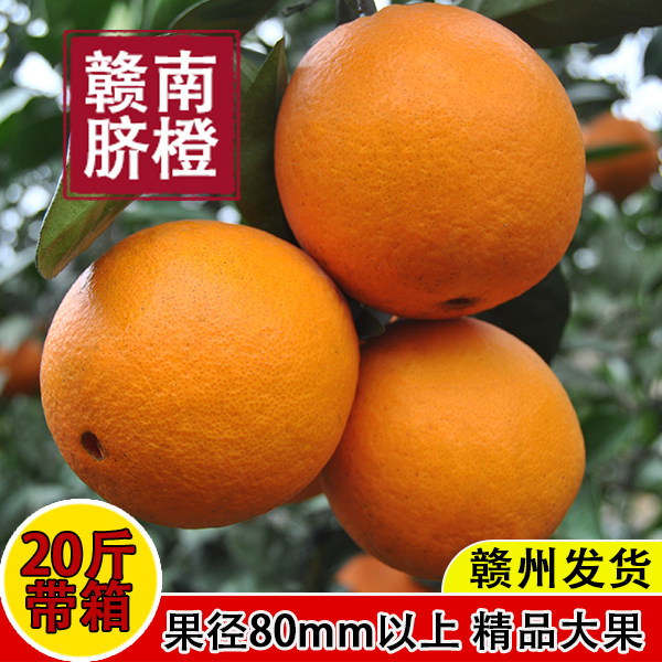正宗江西赣南脐橙大果甜橙子新鲜当季赣州产地直发带箱20斤,水产肉类/新鲜蔬果/熟食,橙,淘宝优惠券,粉丝福利购,淘宝优惠卷