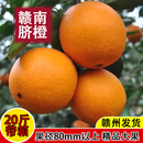 正宗江西赣南脐橙大果甜橙子新鲜当季 赣州产地直发带箱20斤