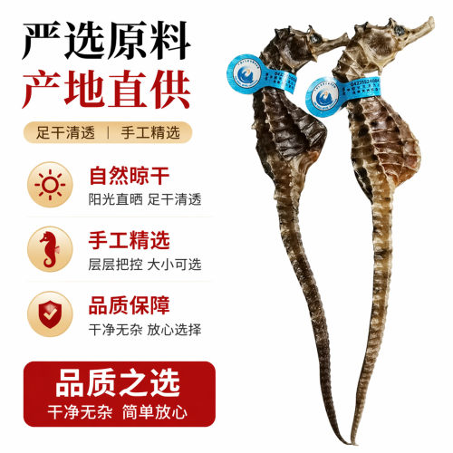 海马干货公母配对煲汤泡酒滋补