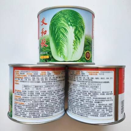 蔬菜瓜果山东秋季播大白菜种子义和秋大白菜抗病高产耐寒老品种