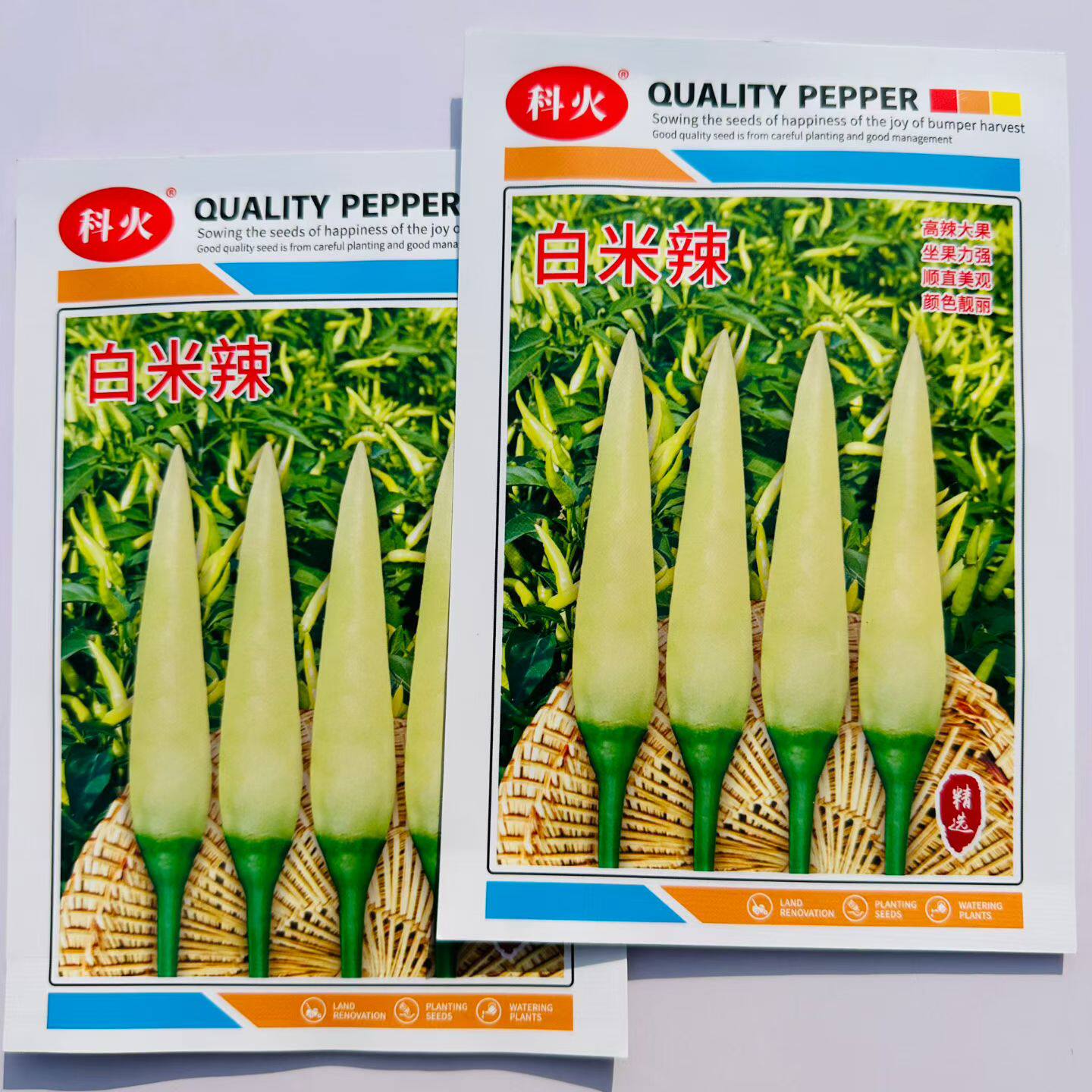 蔬菜瓜果四季辣椒种子大全米椒朝天椒种籽白米椒大田盆栽可种高产