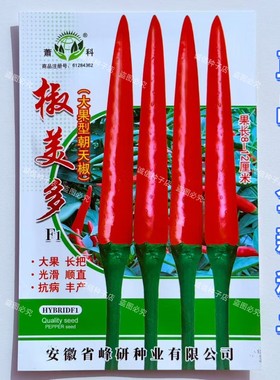 蔬菜瓜果四季辣椒种子尖尖红椒朝天椒种籽椒美多大果大田种高产