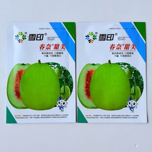 蔬菜瓜果甜瓜种子青皮红瓤香瓜种籽春奈甜美血印甜瓜大田种高产