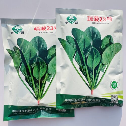 蔬菜瓜果菠菜种子大全蔬菠23号杂交一代菠菜种籽油亮型菠菜种高产