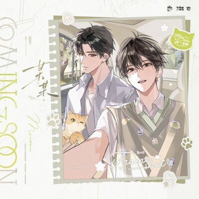 正版  七尚  某某四期 重逢/定格/ 温存/同行系列徽章拍立得