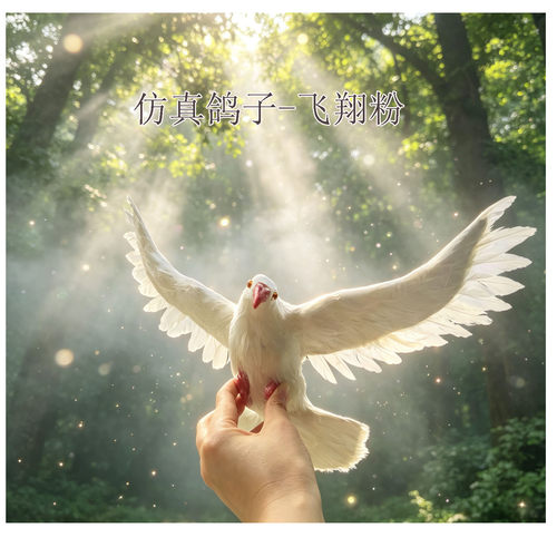 仿真鸽子模型假鸽子白鸽道具