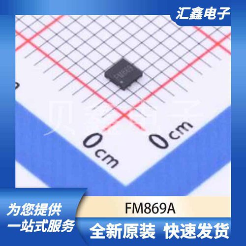 电源管理 FM869A 原装正品 DFN-6-EP(2x2)