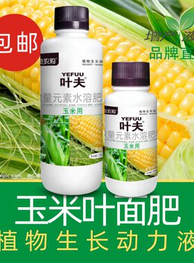 玉米专用叶面肥高产肥