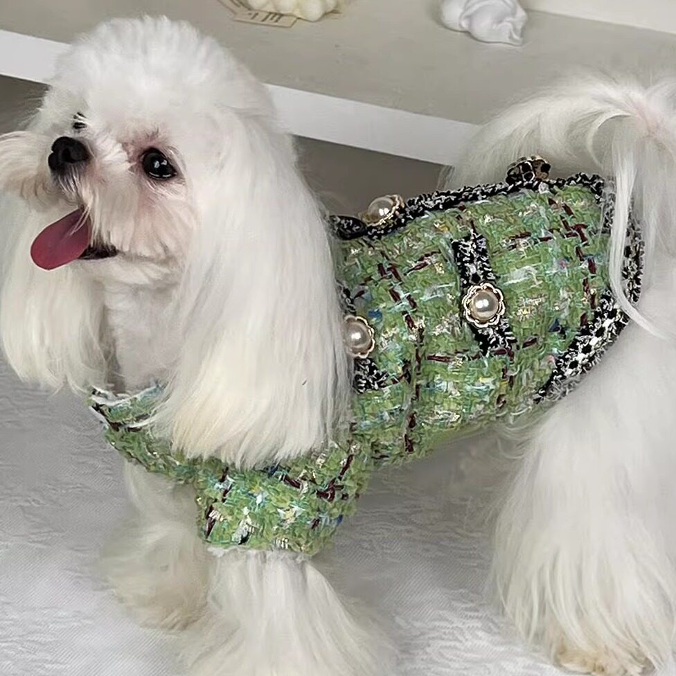 小狗衣服秋冬装厚款绿色香风裙包肚子比熊马尔济斯宠物加绒外套