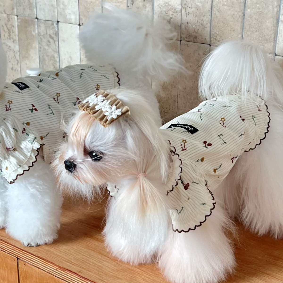 中小犬幼犬灯芯绒柔软保暖打底衫