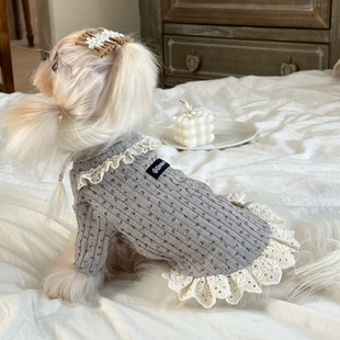 韩系宠物狗衣服中小体幼犬针织保暖毛衣马尔济斯比熊马甲背心秋冬