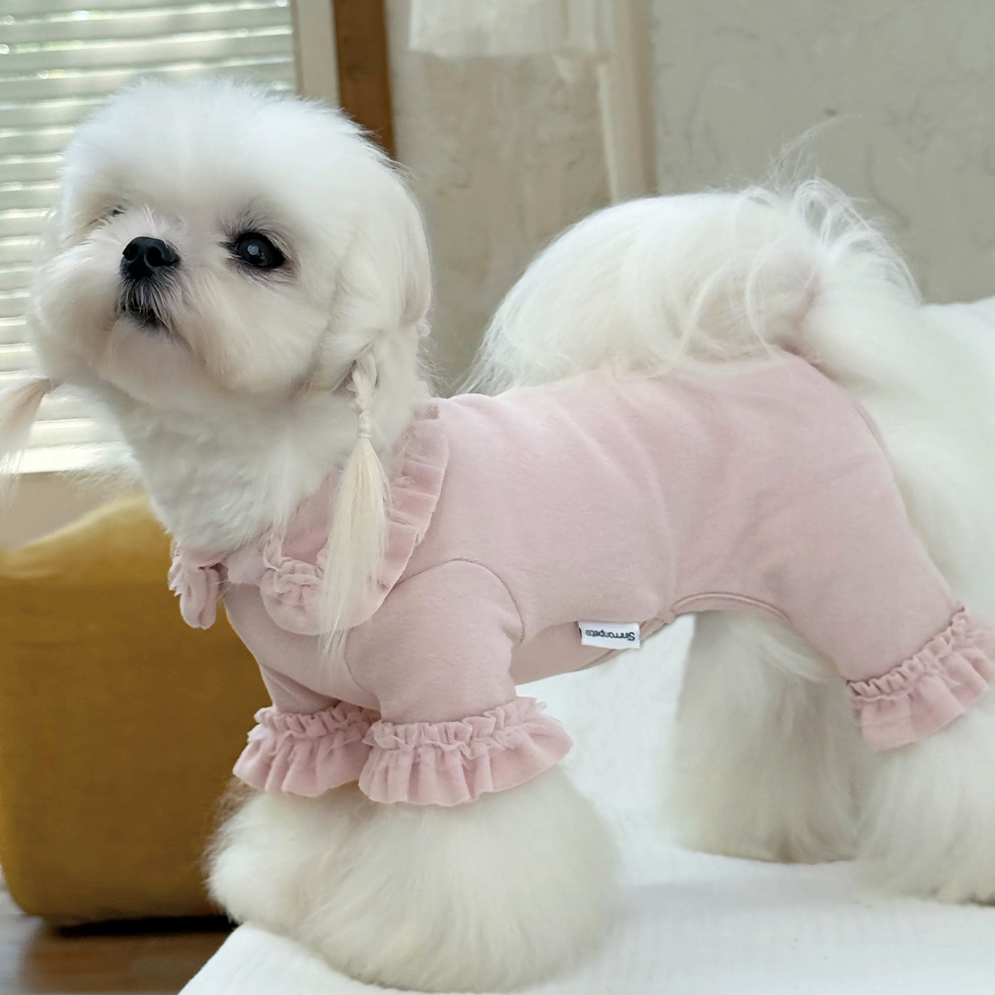 猫咪狗狗棉柔软亲肤保暖防脏衣服图片