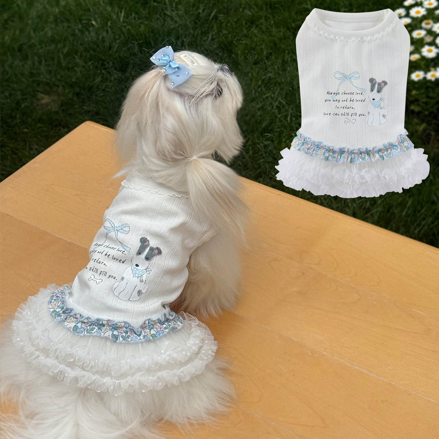 韩系宠物衣服小型犬漂亮连衣裙小狗弹力蓬蓬裙夏季薄款蕾丝打底衫