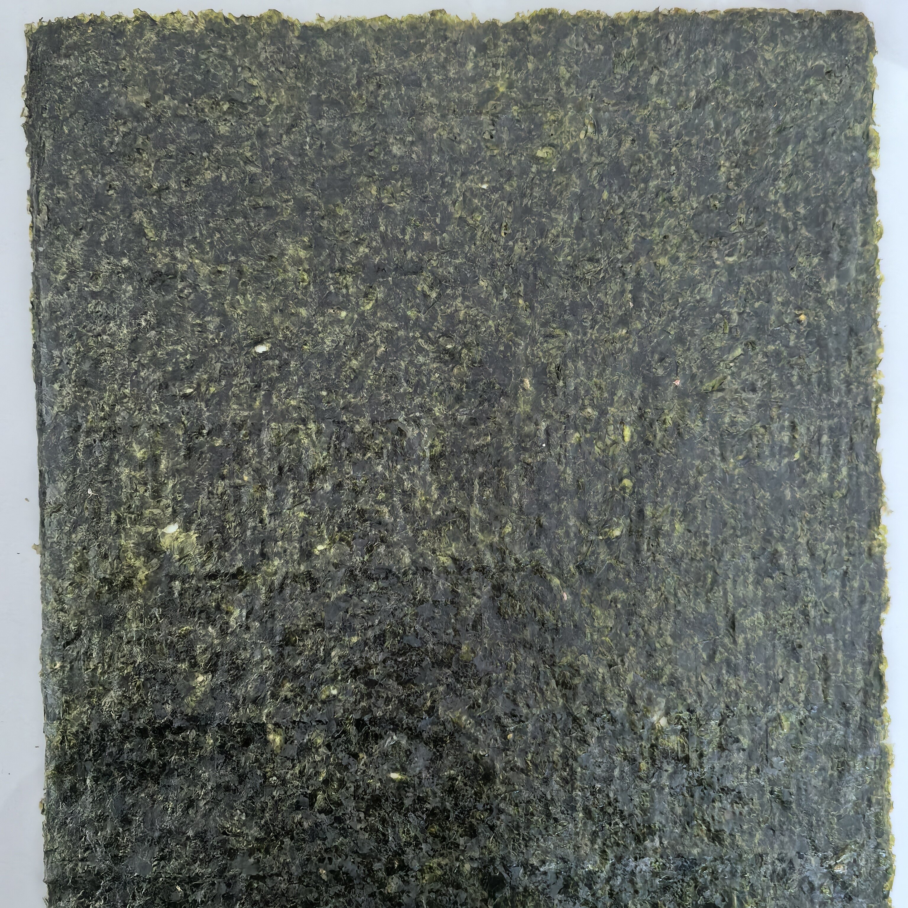 信煜寿司海苔紫菜包饭专用墨绿商用批发50张大片全型特价海苔包邮