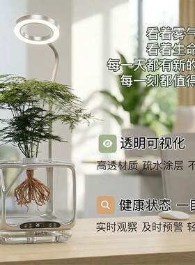 得士美桌面智能气雾种植机摆件