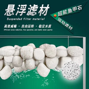 鱼漾水族鱼类海水淡水通用