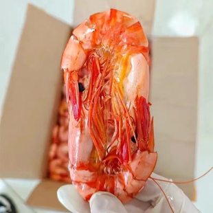 九节虾干烤虾干即食大号干虾非特级大竹节虾500g海虾蓬莱海鲜礼盒